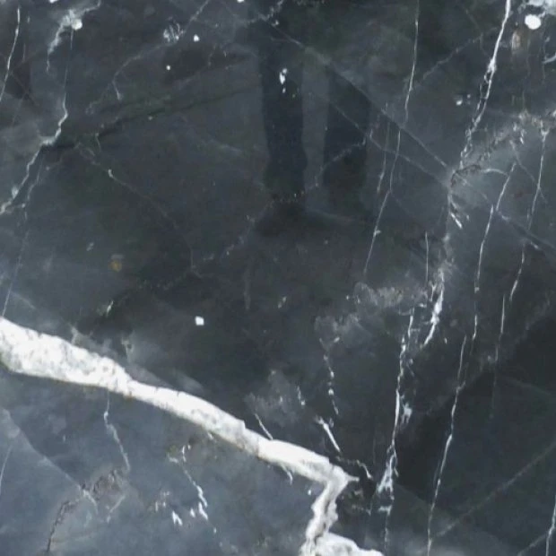 MARMO CALACATTA BLACK 17B322 GR 02