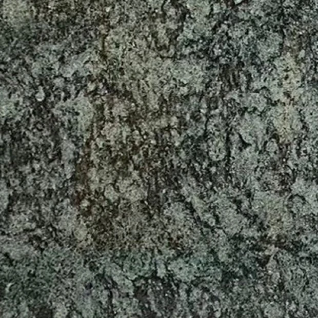 GRANITO OLIVE GREEN 24B170/2 GR 03