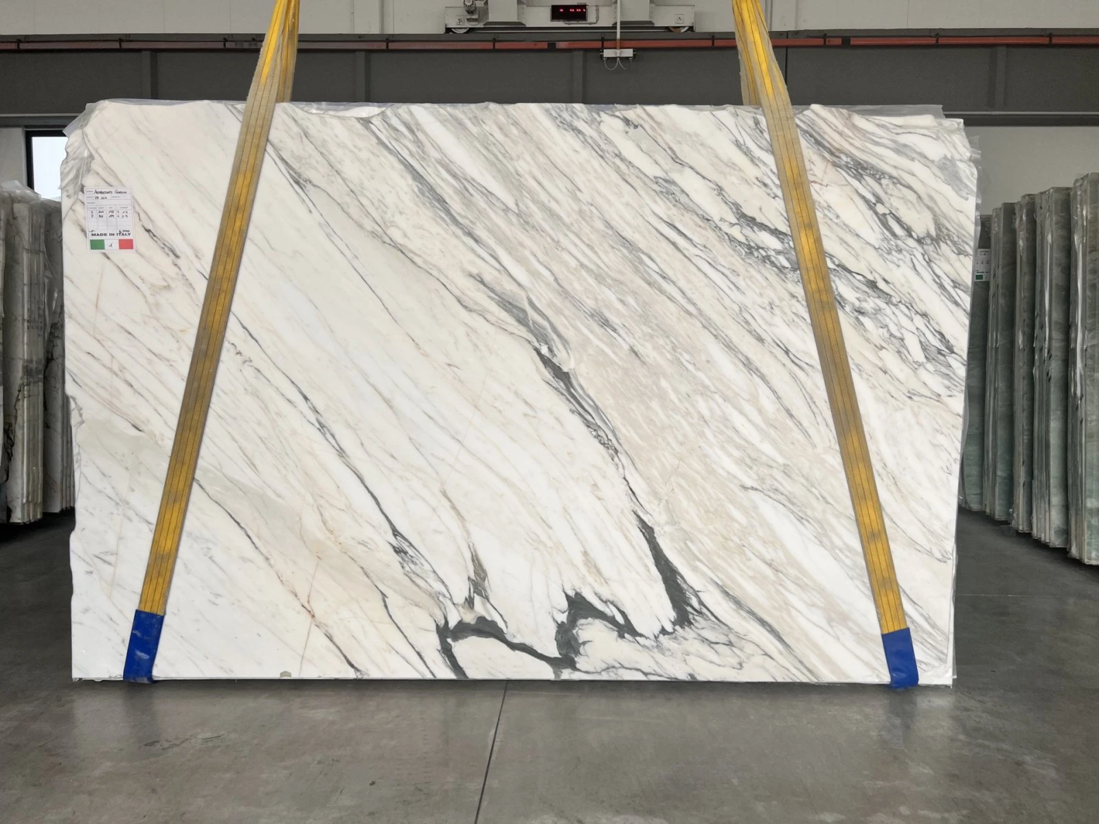 MARMO ARABESCATO CORCHIA 23B307 VO 02