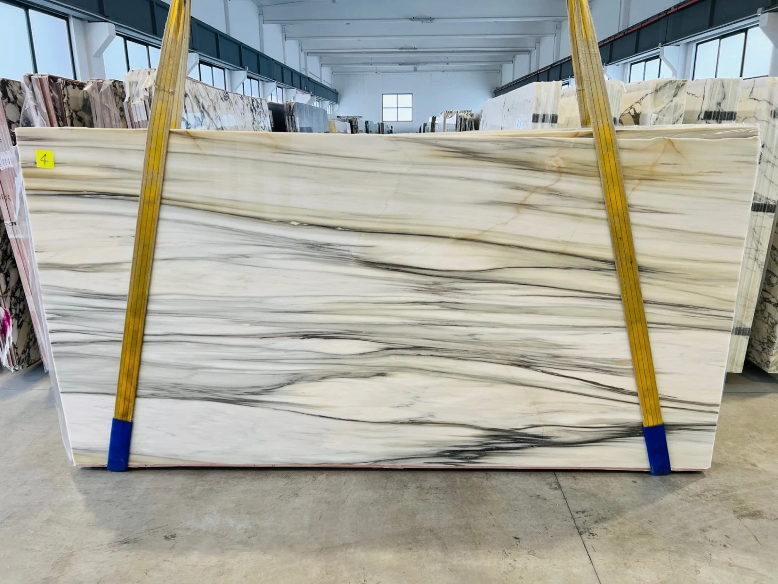 MARMO CALACATTA CREMO ANTICO A2850 LU 02