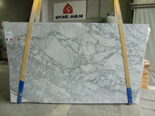 MARMO STATUARIO VENATO 18B087 GR 02