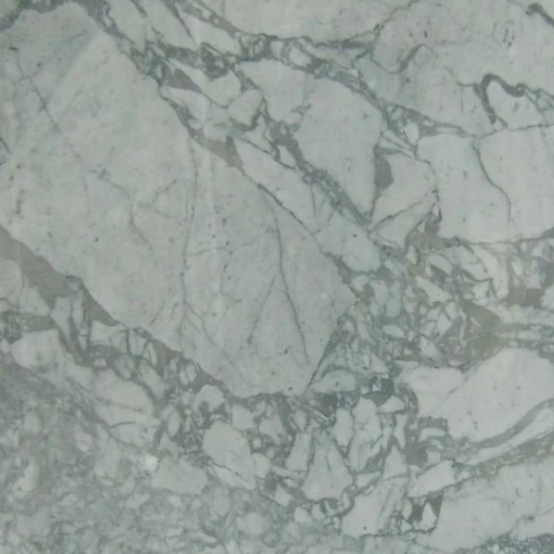 MARMO STATUARIO VENATO 18B087 GR 02