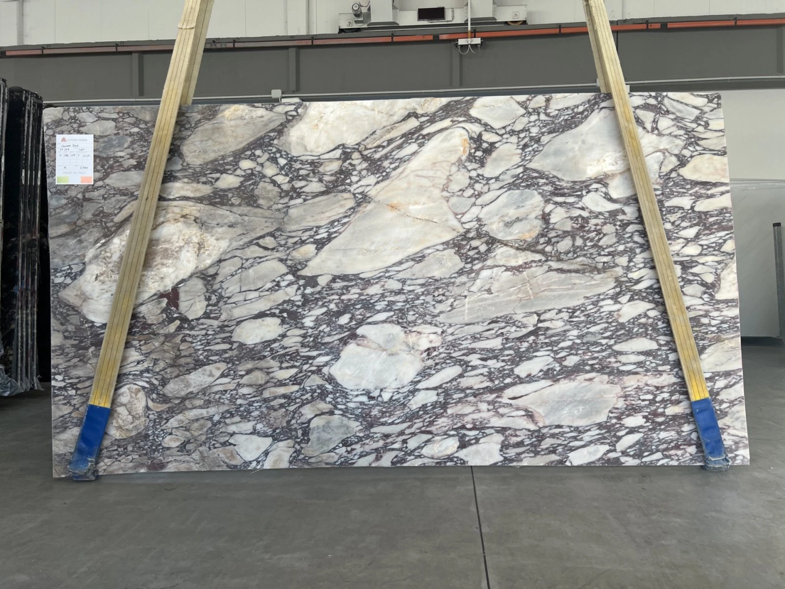 MARMO CALACATTA VIOLA 24B259 VO 03