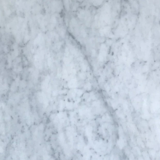 MARMO BIANCO CARRARA A1797 GR 03