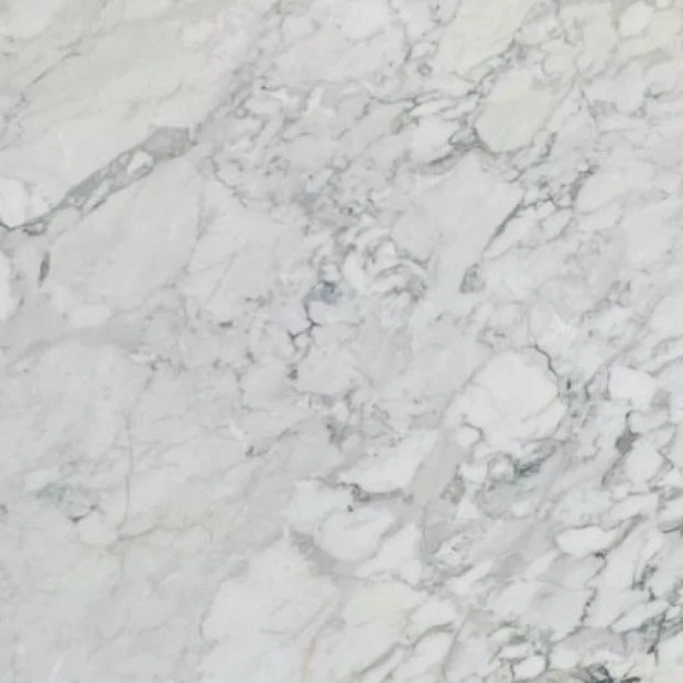 MARMO BRECCIA CAPRAIA 24B137 VO 02