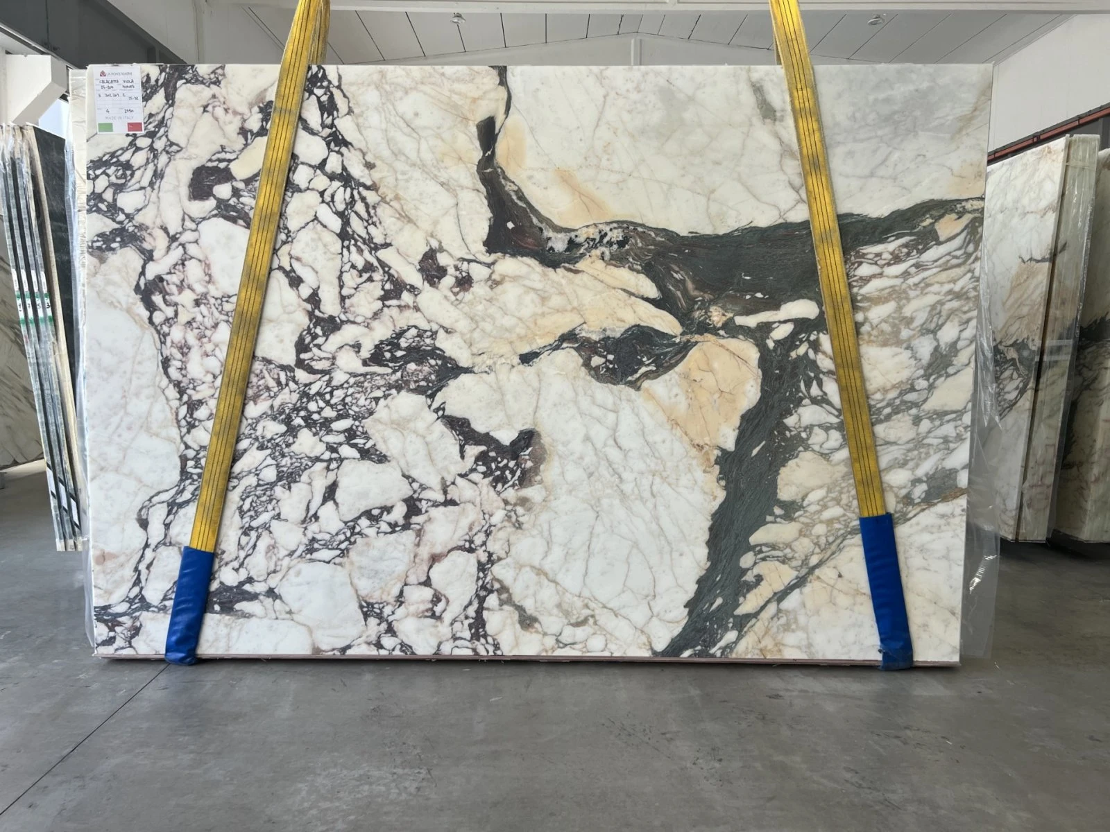 MARMO CALACATTA VIOLA 25B204 VO 02