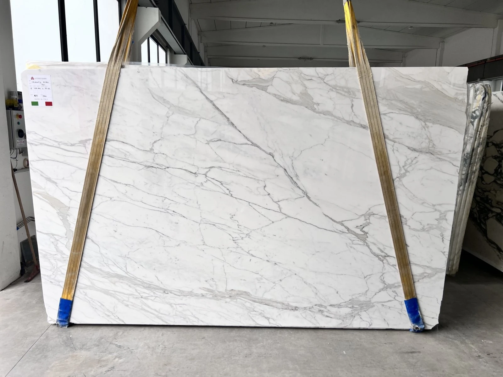 MARMO CALACATTA A7881. LU 02