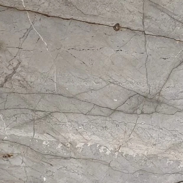 MARMO SILVER ROOTS 21B262 VO 02