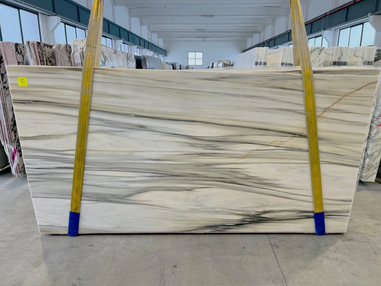 MARMO CALACATTA CREMO ANTICO A2850 LU 02