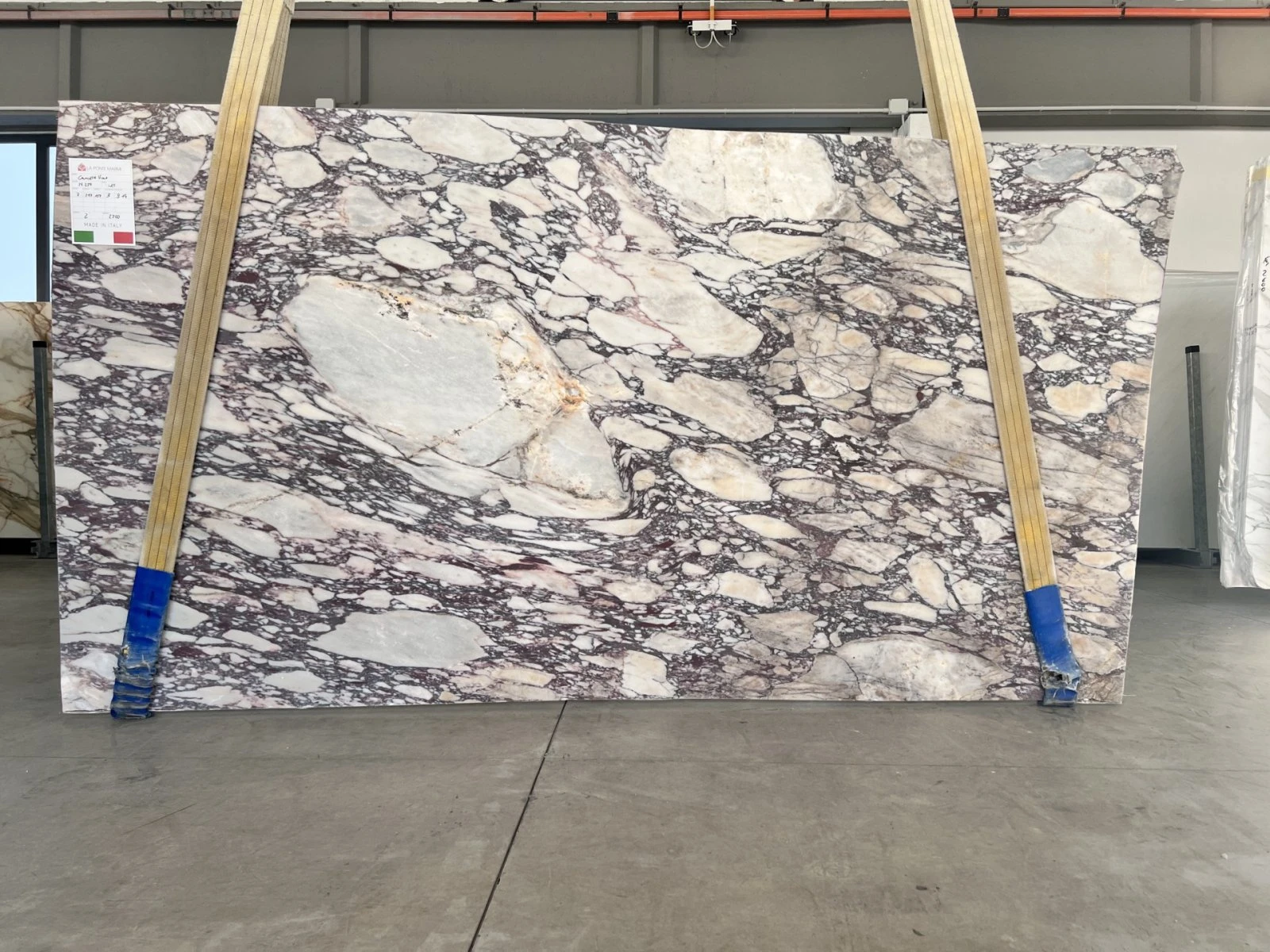 MARMO CALACATTA VIOLA 24B259 VO 03