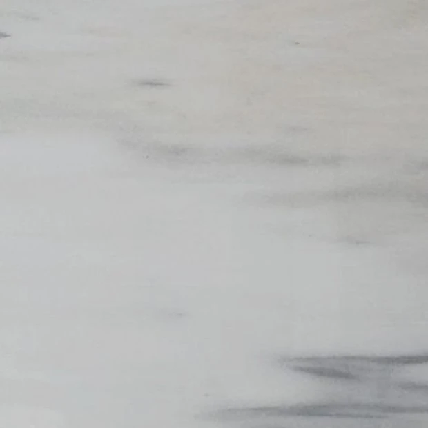 MARMO COCO WHITE 19B136 LU 02